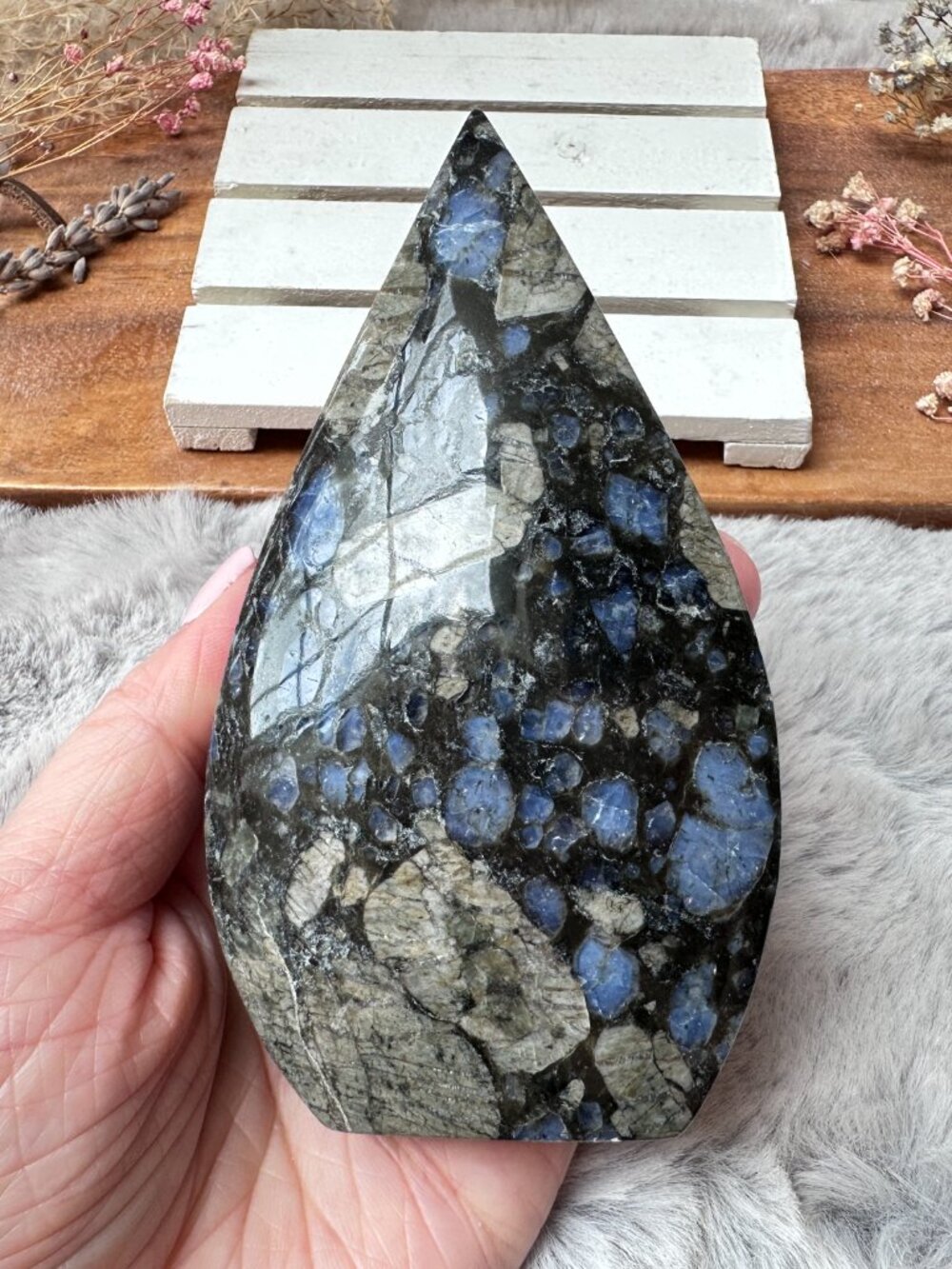 Gorgeous Que Sera Flame/Free Form
